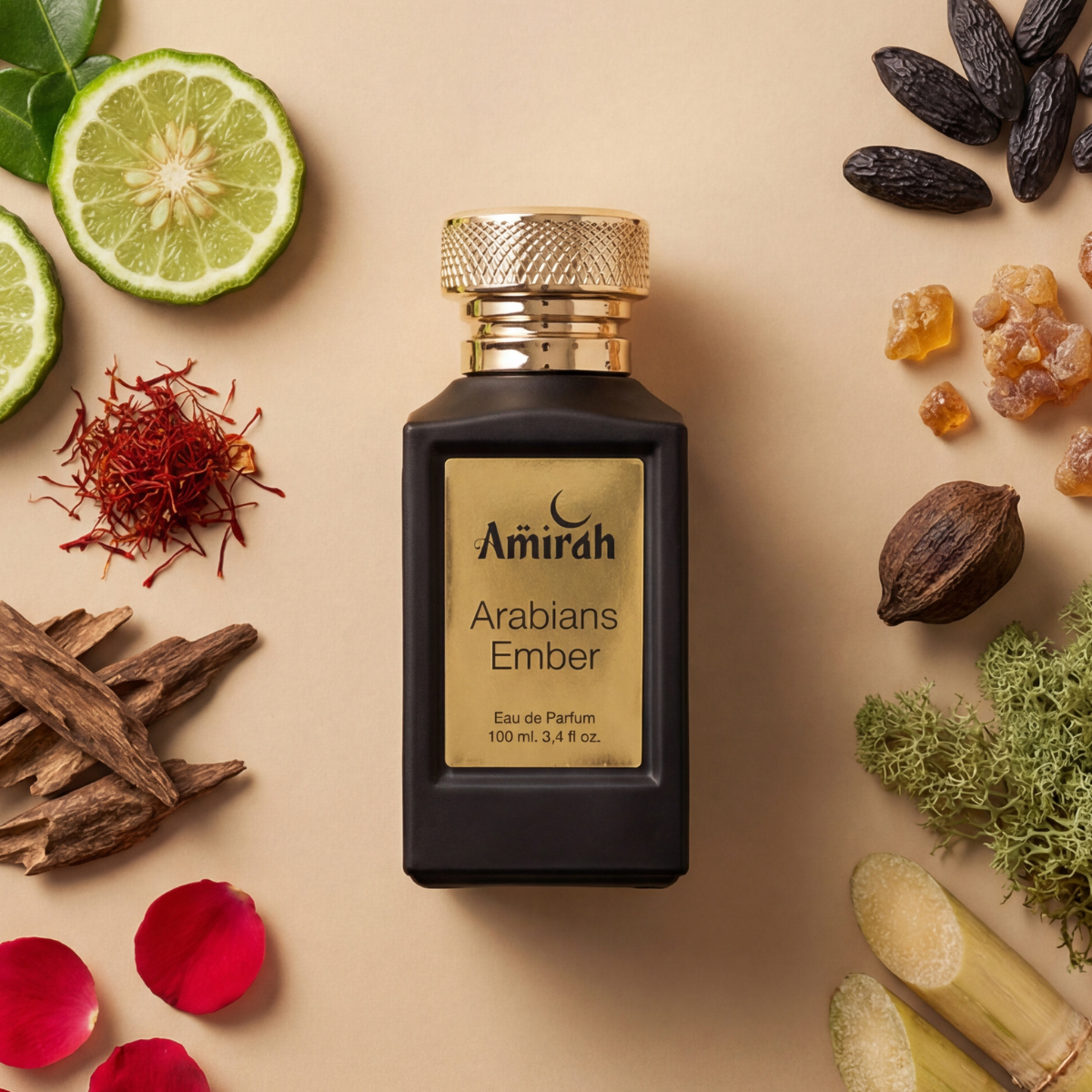 Tester Arabians Ember - Image 2
